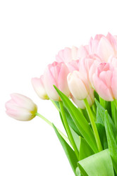 Similar image 265249