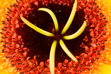 Similar image 265251