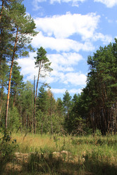 Similar image 265259