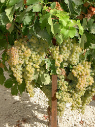 Similar image 265303