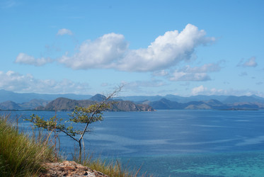 Similar image 265308