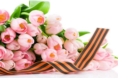 Similar image 265333