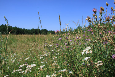 Similar image 265367