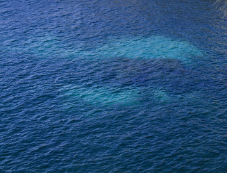 Similar image 265372