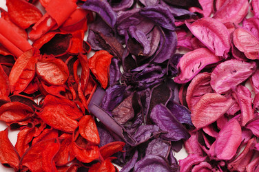 Similar image 265403