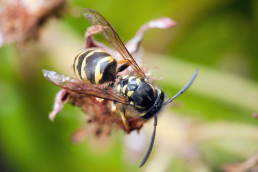 Similar image 265413