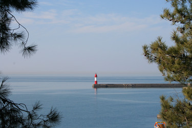 Similar image 265426