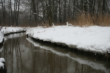 Similar image 265427