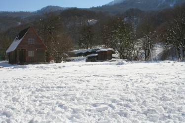 Similar image 265430