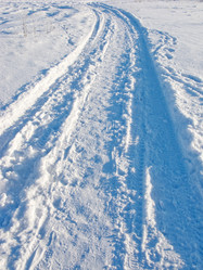 Similar image 265433