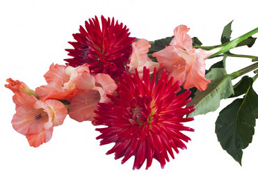 Similar image 265440