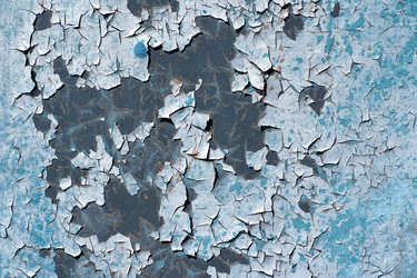 Similar image 265443