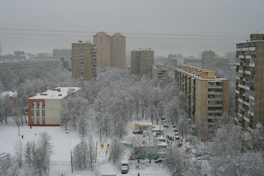 Similar image 265446