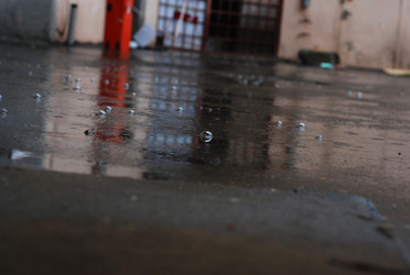 Similar image 265454