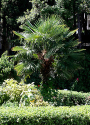 Similar image 265460