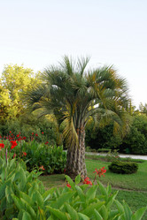 Similar image 265474