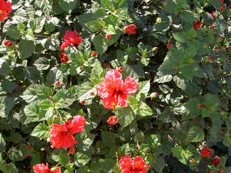 Similar image 265475