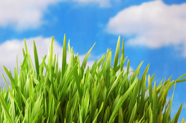 Similar image 265492