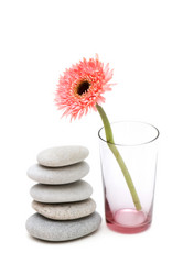 Similar image 265498