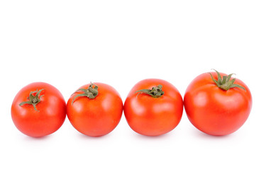 Similar image 265510