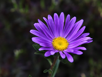 Similar image 265624