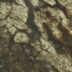 Similar image 265641