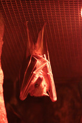 Similar image 265698