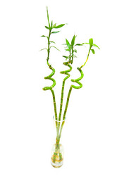 Similar image 265738