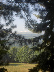 Similar image 265791