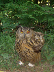 Similar image 265795