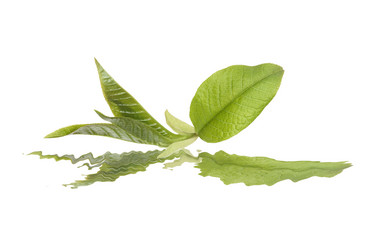 Similar image 265828