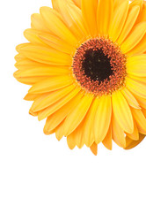 Similar image 265859