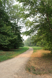 Similar image 265877