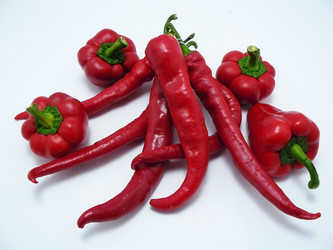 Similar image 265892