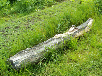 Similar image 265920