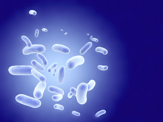 Similar image 265970