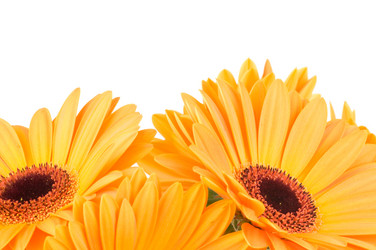 Similar image 265976