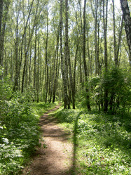 Similar image 265978