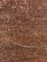 Similar image 265985