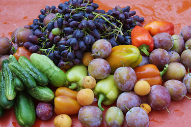 Similar image 266001