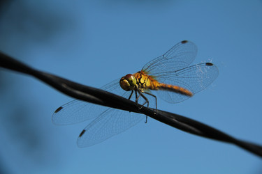 Similar image 266006