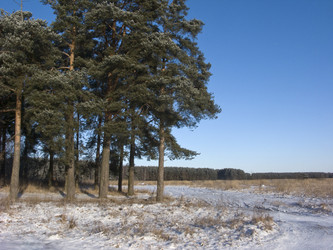 Similar image 266012