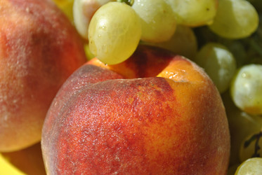 Similar image 266041