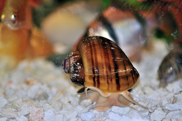 Similar image 266081