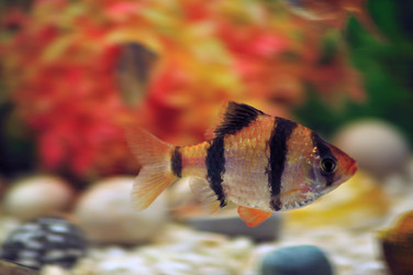 Similar image 266091