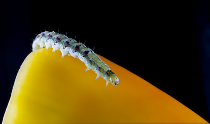 Similar image 266116