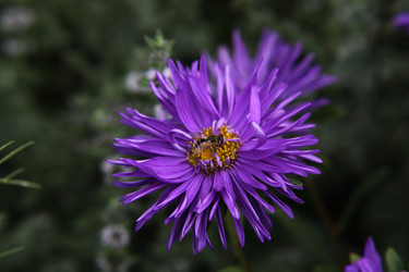 Similar image 266175