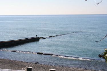 Similar image 266190