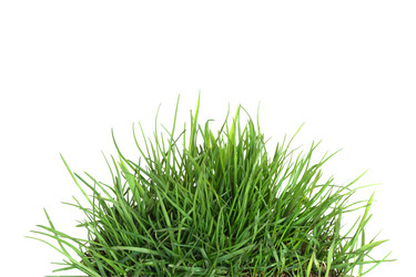 Similar image 266238