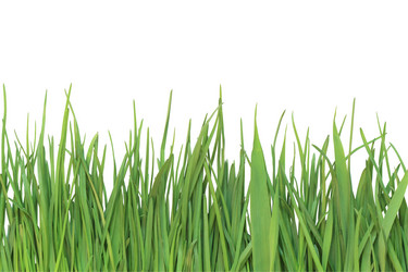 Similar image 266239